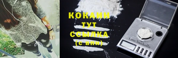 дживик Михайлов