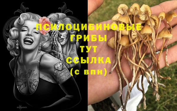 гашишное масло Бронницы