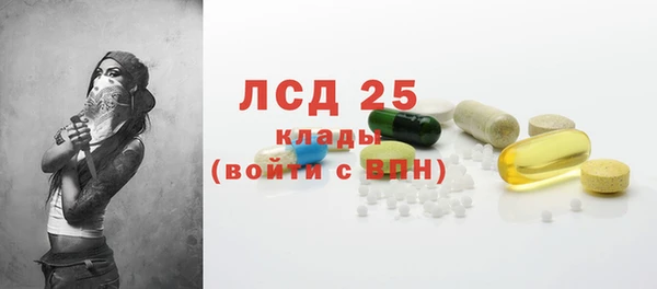 спайс Бородино