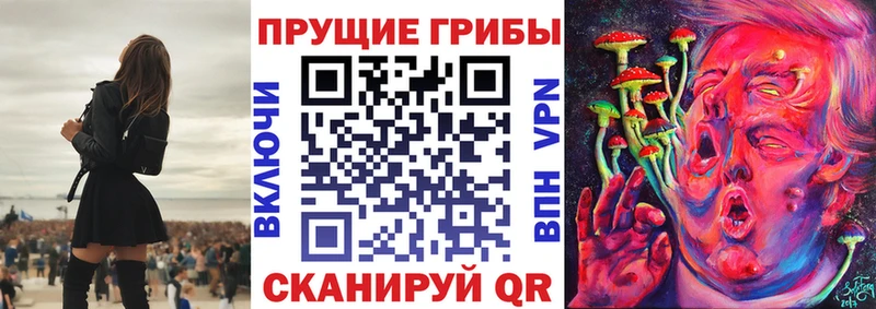как найти закладки  Дмитриев  Галлюциногенные грибы Magic Shrooms 